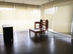 Shamrock Park (D10), Terrace #153499312